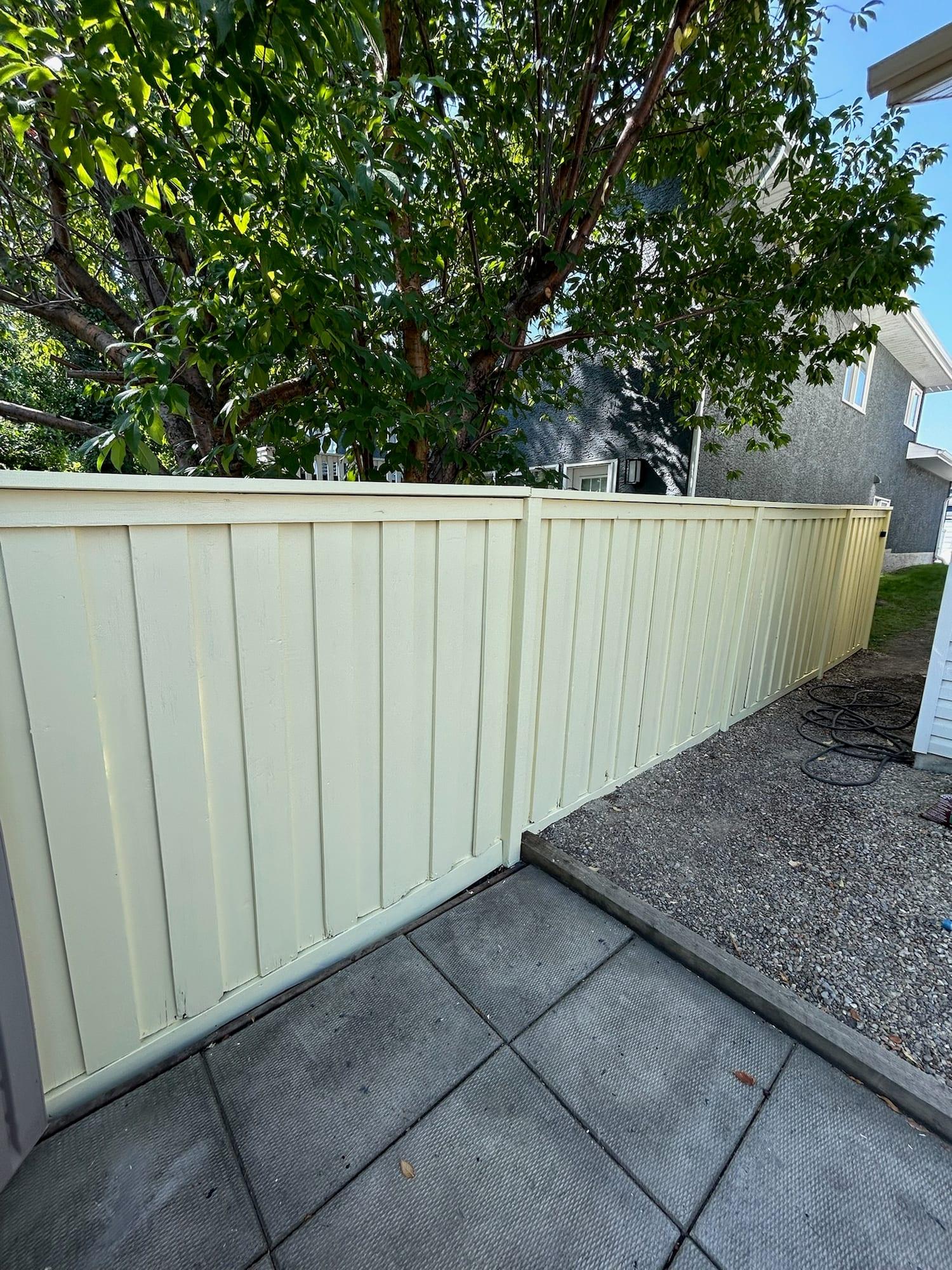 The same backyard fence after preparation and repainting